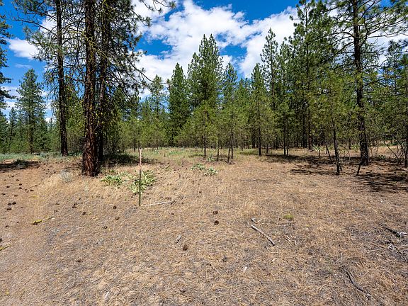 3rd image of 2300 Eagle River Way