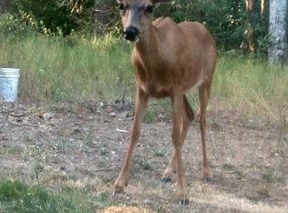 10640 W Belfair Valley Rd, Bremerton, WA 98312