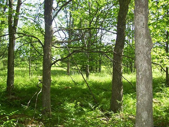 5th image of D D On Cth