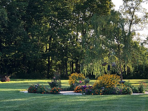 Park-Like Back Yard