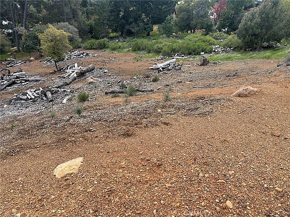 5th image of 3382 Pine Terrace Dr Lot 24