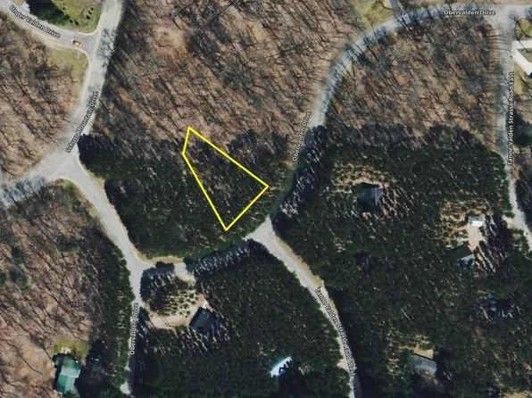 13 N Obervalden Dr, Bellaire, MI 49615
