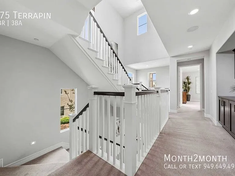 175 Terrapin — Photo 42