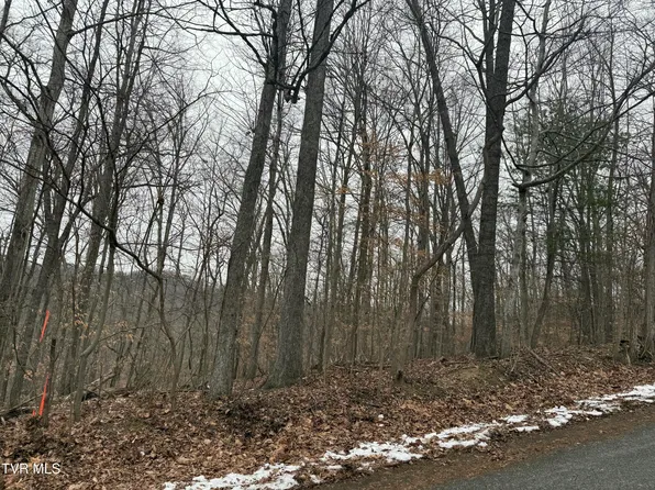 LOT 4 Skyline Dr, Bristol, TN 37620