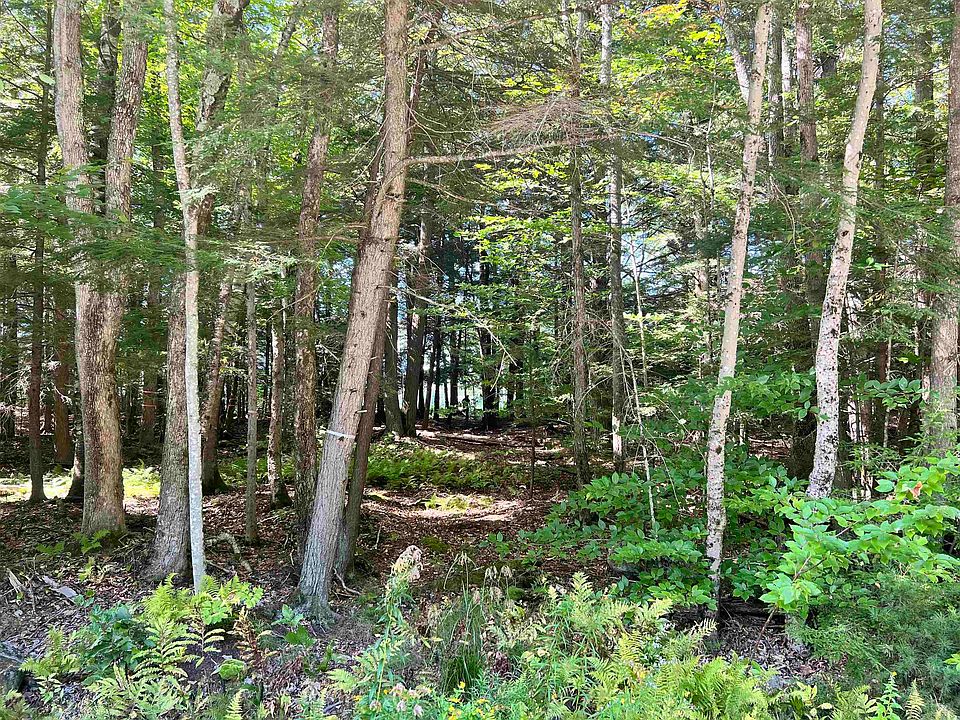 2nd image of 65 Greensward Drive
