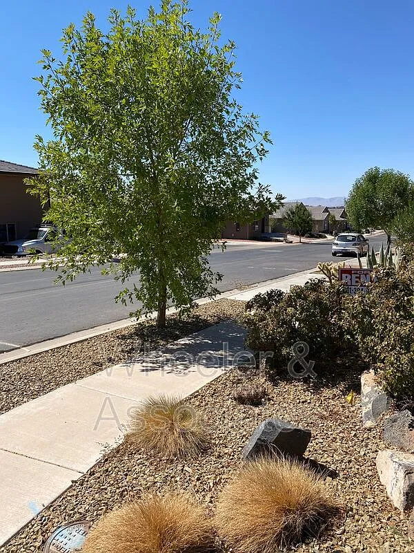 3 bed, 2.0 bath, 1602 sqft, $1,845 — Photo 3
