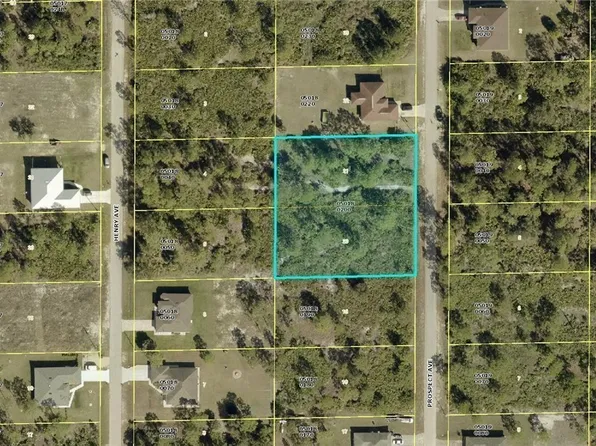1315 Prospect Ave, Lehigh Acres, FL 33972