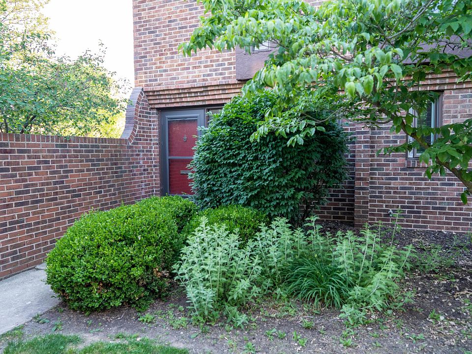 Frontyard