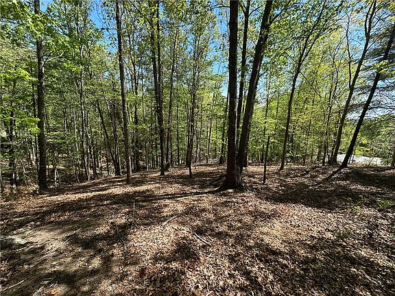 3rd image of 534 Ginseng Dr