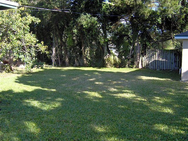 backyard