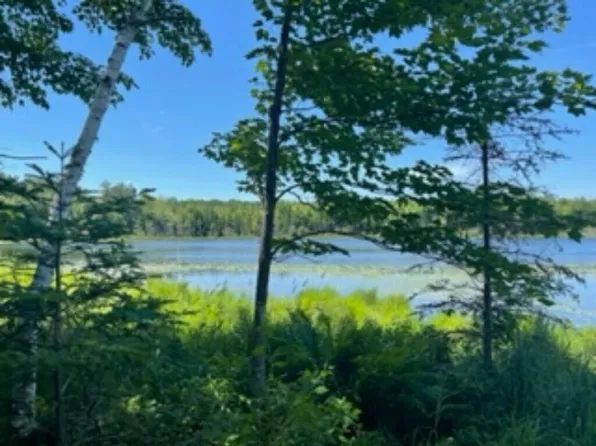 Lt0 SAWYER LAKE ROAD, Townsend, WI 54175