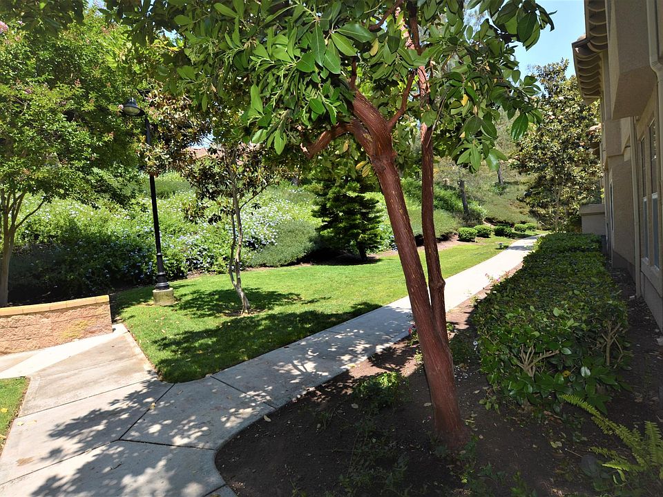 1st image of 79 Waxwing Ln