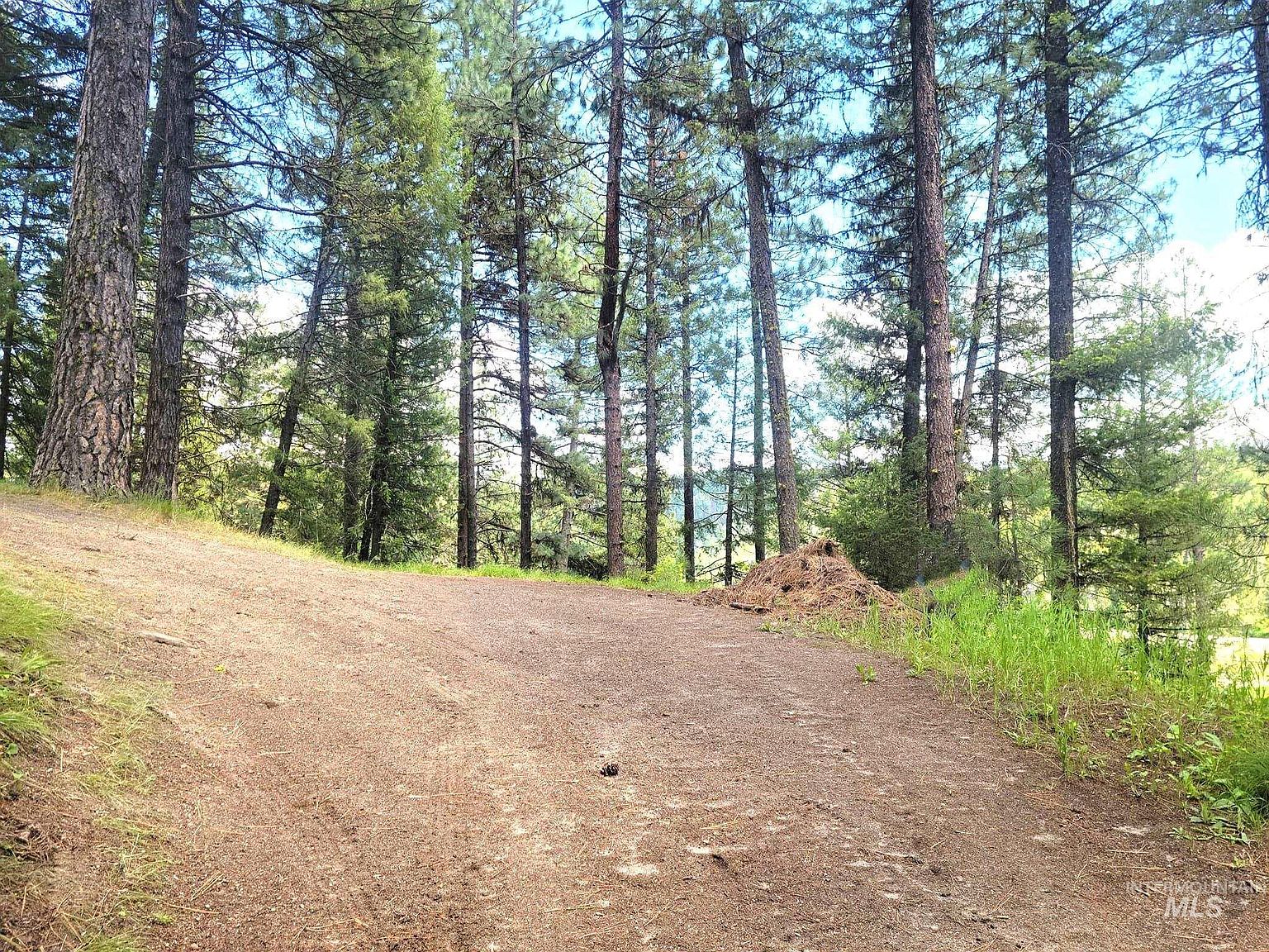 9810 Brian Way, Cascade, ID 83611 MLS 98880785 Zillow