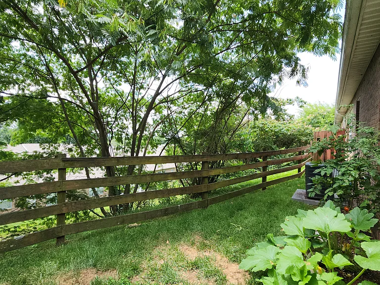 3246 Misty Hill Way — Photo 22