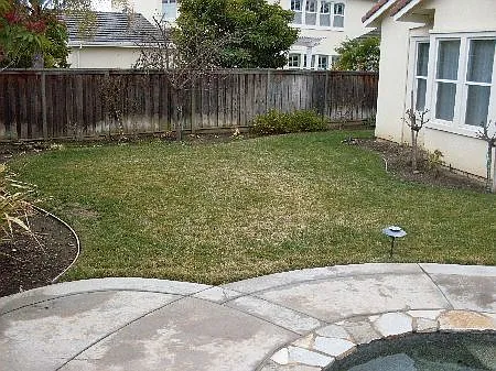 1584 Cielo Ct — Photo 10