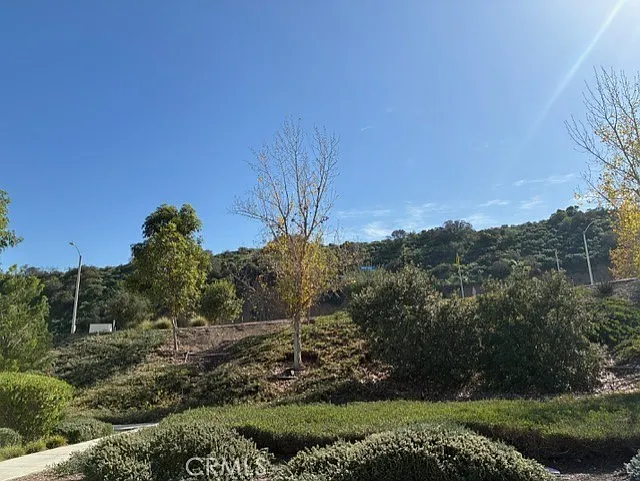 3 bed, 2.5 bath, 1350 sqft, $3,500 — Photo 2