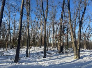 1015 Deklan Dr, Mio, MI 48647