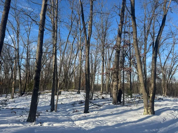 1015 Deklan Dr, Mio, MI 48647