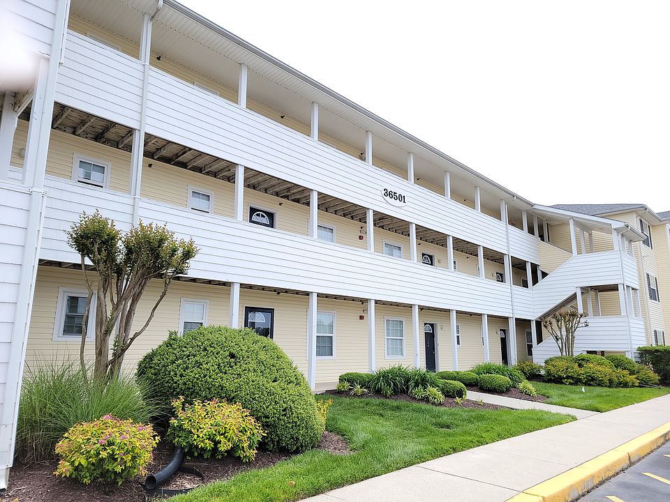 1st image of 36501 Palm Dr Unit 1302