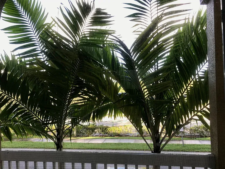Second Floor Balcony