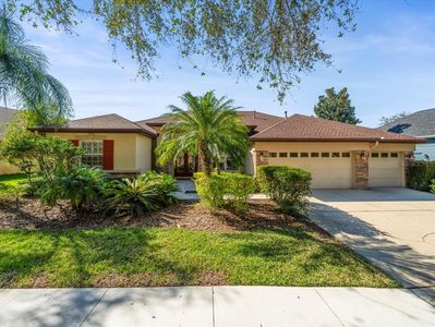 15720 Ibisridge Dr, Lithia, FL, 33547