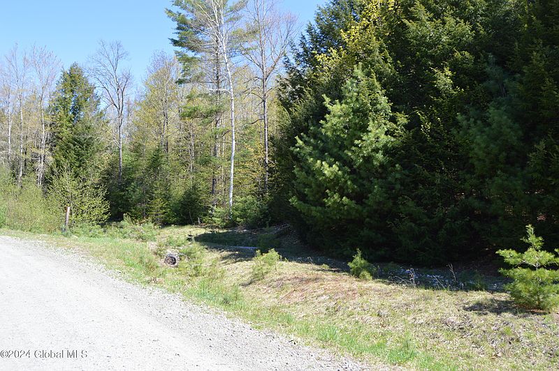 2nd image of 00 Adirondack Heights Rd Lot 7