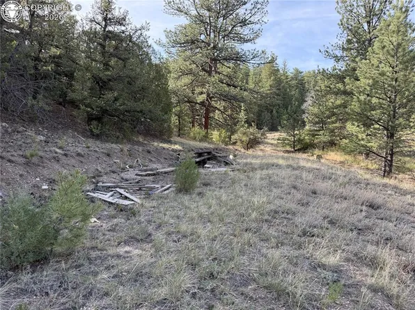 594 Maurice Dr, Cotopaxi, CO 81223