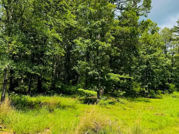 (undisclosed Address), Heber Springs, AR 72543