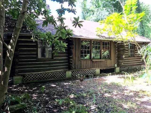 Back view