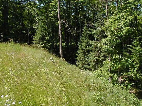 2nd image of 112 Eden Dr