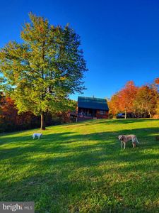 313 Wright Rdg, Rio, WV, 26755