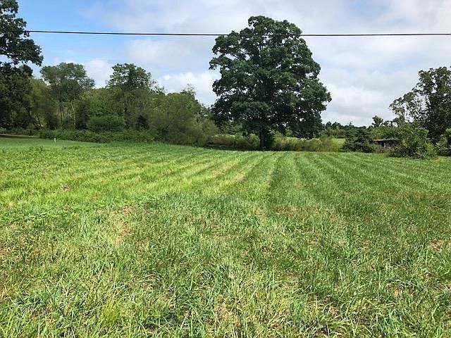 2nd image of 667 Walker Rd