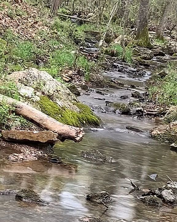 1st image of 461 County Road 606
