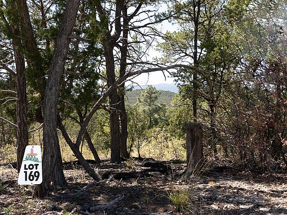 5th image of 16 Los Pecos Trl