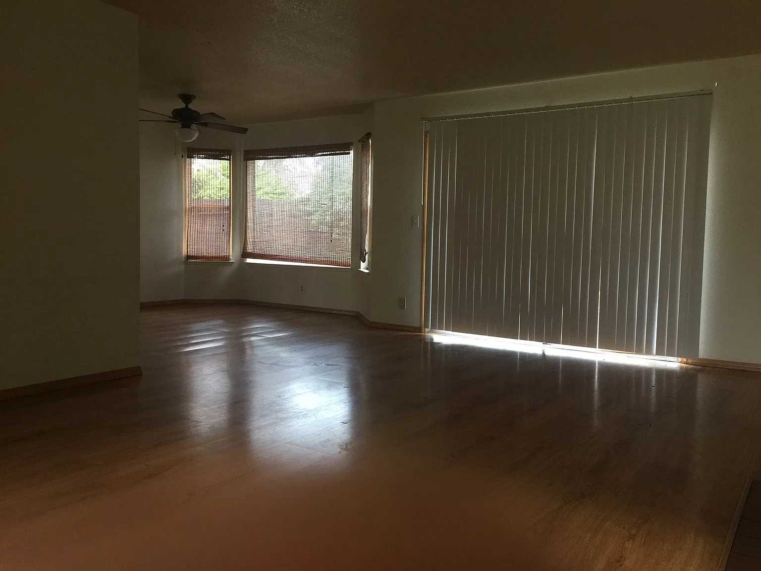 Yvette Way - 107 C — Photo 3