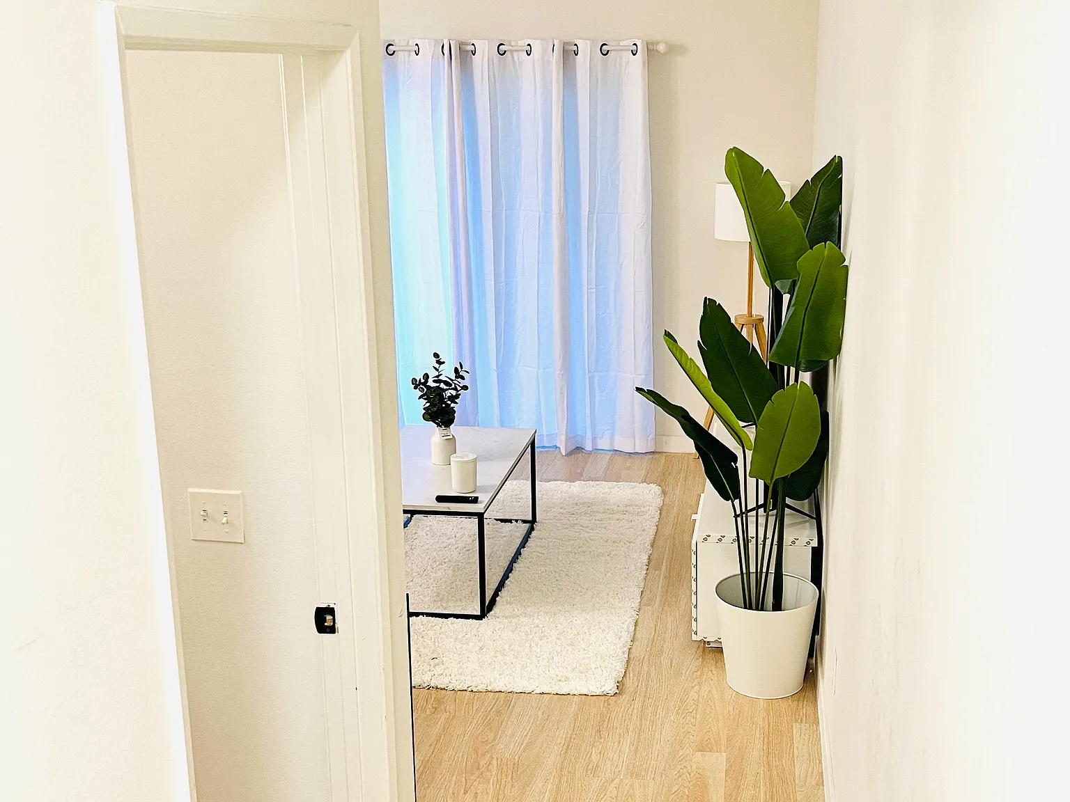 2 bed, 1.5 bath, 1025 sqft, $3,750 — Photo 3