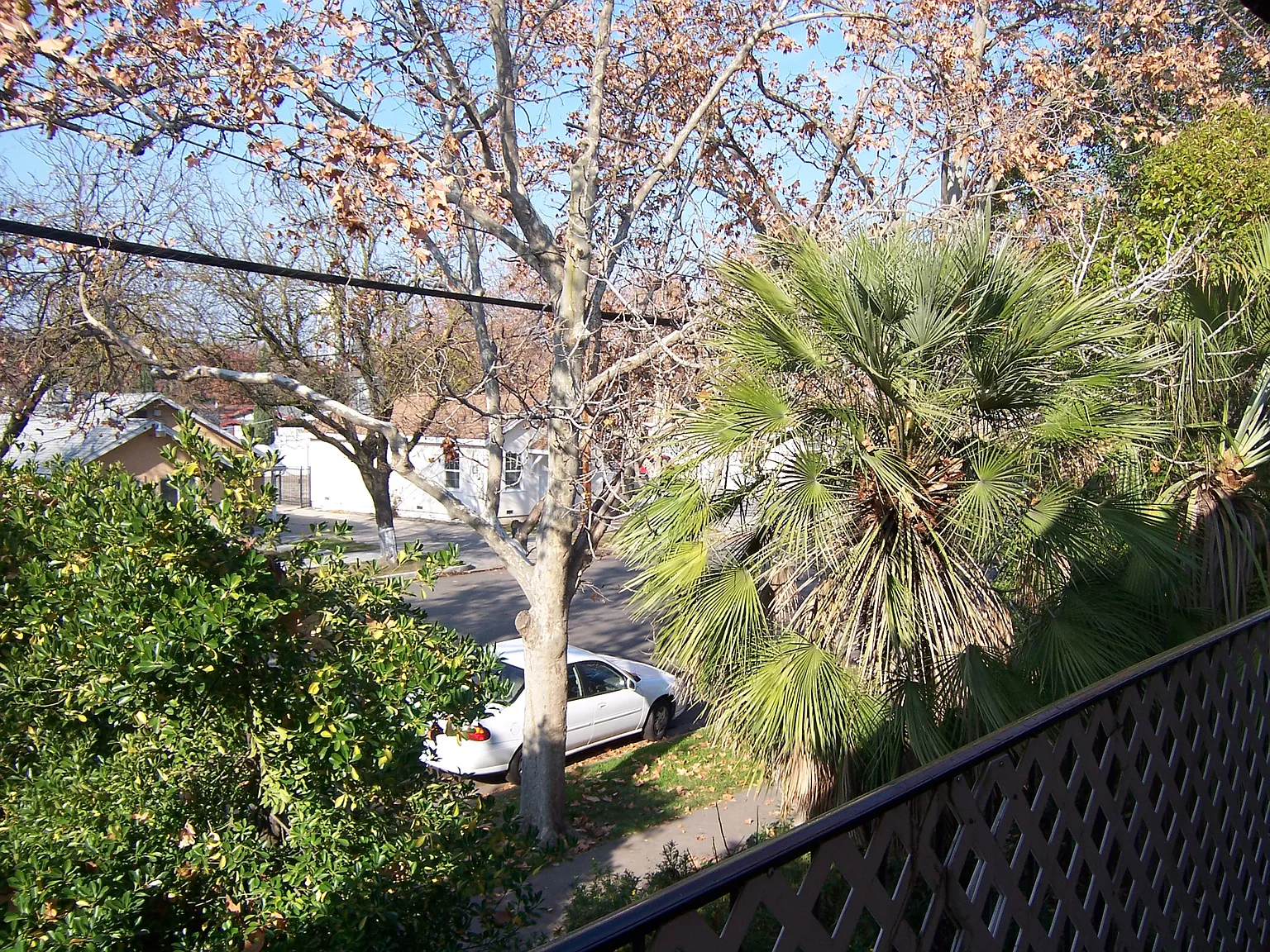 1 bed, $1,000 — Photo 1