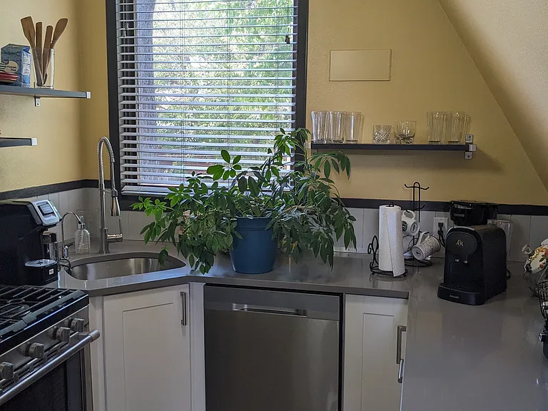 501 Quincy St #A — Photo 25