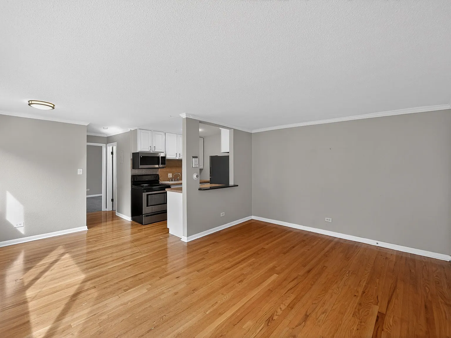 1 bed, 558 sqft, $1,499 — Photo 1