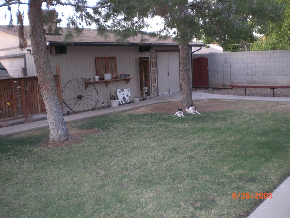 Detached garage & back yard