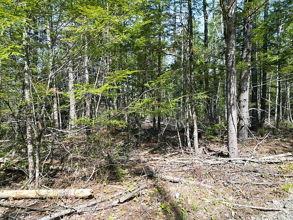 5th image of Lot 2 Off Mattamiscontis Road