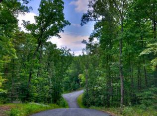 33 Ivy Ridge, Blue Ridge, GA 30513