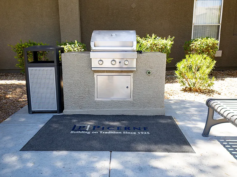Gas BBQ Grill