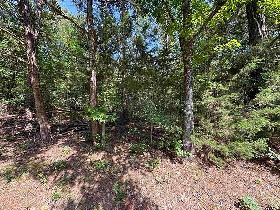 2nd image of 19 Whispering Pine Trl S