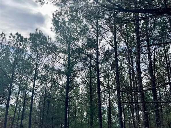 777 Timber Creek Trl, Broken Bow, OK 74728