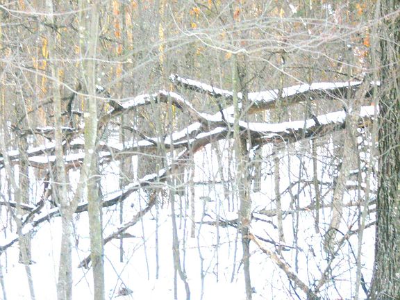 2nd image of 1.34 AC Czech Drive