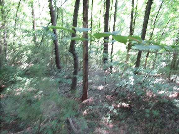 3rd image of 0 Gauley Falls Rd