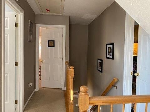 5th image of 12 Farrington St