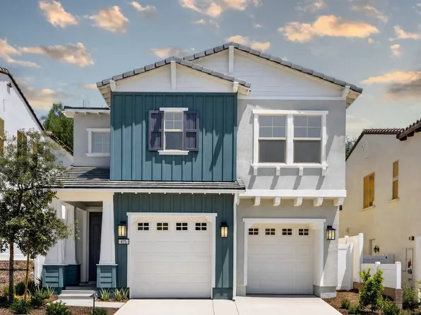 Plan 1 Plan, Citrus Oak