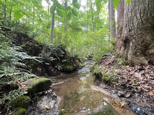 0 Simms Rd, Cumberland, VA 23040